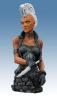 SDCC 2006 Exclusive Storm Bust with Mohawk