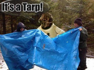 Admiral Acbar: It's a Tarp